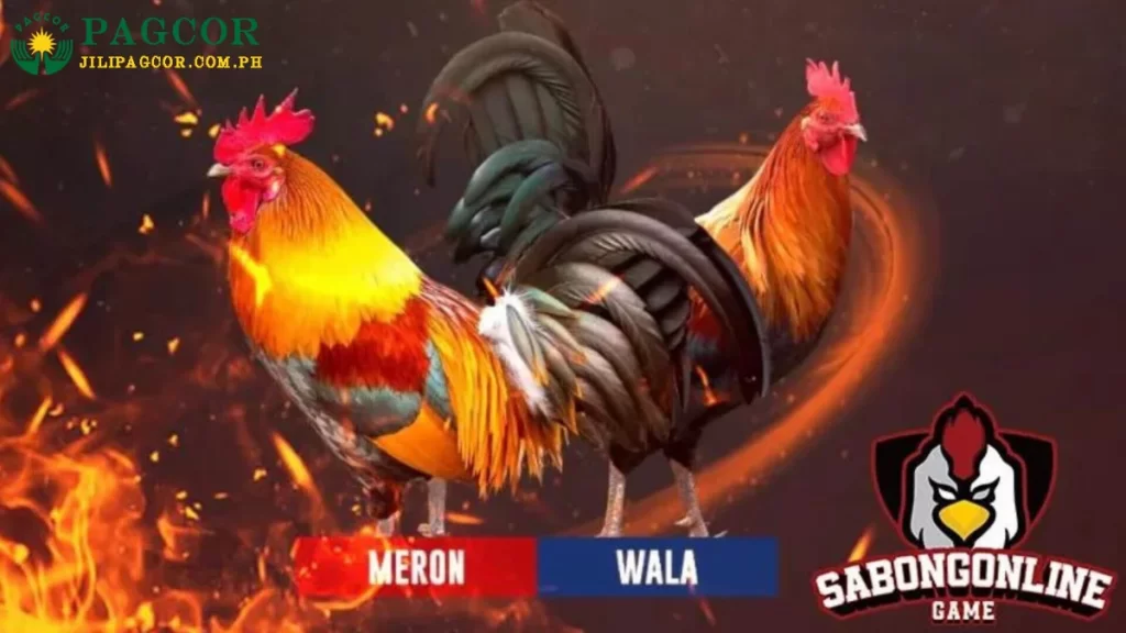 Cockfighting