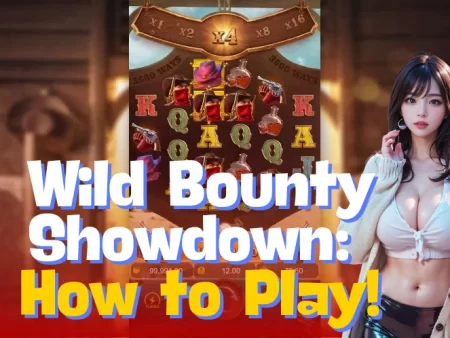 Wild Bounty Showdown: How to Play