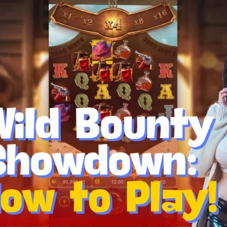 Wild Bounty Showdown: How to Play